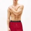 Boxershorts mit durchgehendem Flaggenprint