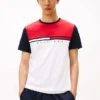Colorblock Flag Stripe Logo T-Shirt