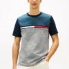 Colorblock Flag Stripe Logo T-Shirt