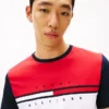 Colorblock Flag Stripe Logo T-Shirt