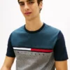 Colorblock Flag Stripe Logo T-Shirt