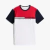 Colorblock Flag Stripe Logo T-Shirt