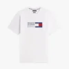 Flag Box Logo T-Shirt