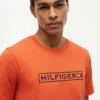 Hilfiger Box Logo T-Shirt Hilfiger Box Logo T-Shirt