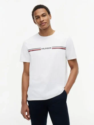 Hilfiger Signature Stripe Logo T-Shirt