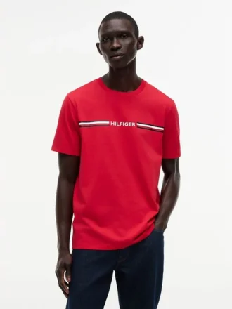 Hilfiger Signature Stripe Logo T-Shirt