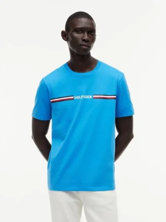 Hilfiger Signature Stripe Logo T-Shirt