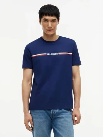 Hilfiger Signature Stripe Logo T-Shirt