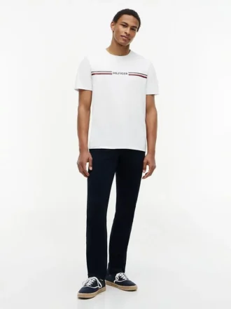 Hilfiger Signature Stripe Logo T-Shirt