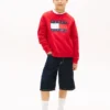 Kinder-Raglan-Sweatshirt mit Tommy-Flag-Logo Kinder-Raglan-Sweatshirt mit Tommy-Flag-Logo