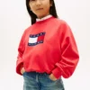 Kinder-Sweatshirt mit gewelltem Flaggenlogo