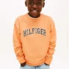 Kinder-Sweatshirt mit Varsity-Logo Kinder-Sweatshirt mit Varsity-Logo