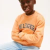 Kinder-Sweatshirt mit Varsity-Logo Kinder-Sweatshirt mit Varsity-Logo