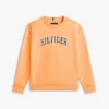 Kinder-Sweatshirt mit Varsity-Logo Kinder-Sweatshirt mit Varsity-Logo