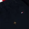 Regular Fit 8″ Flag Colorblock Shorts