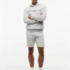 Sweatshorts mit gesticktem Tommy-Logo