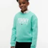 Tommy-Logo-Sweatshirt für Kinder