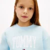 Tommy-Logo-Sweatshirt für Kinder